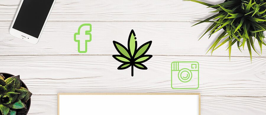 Image result for cannabis social media management